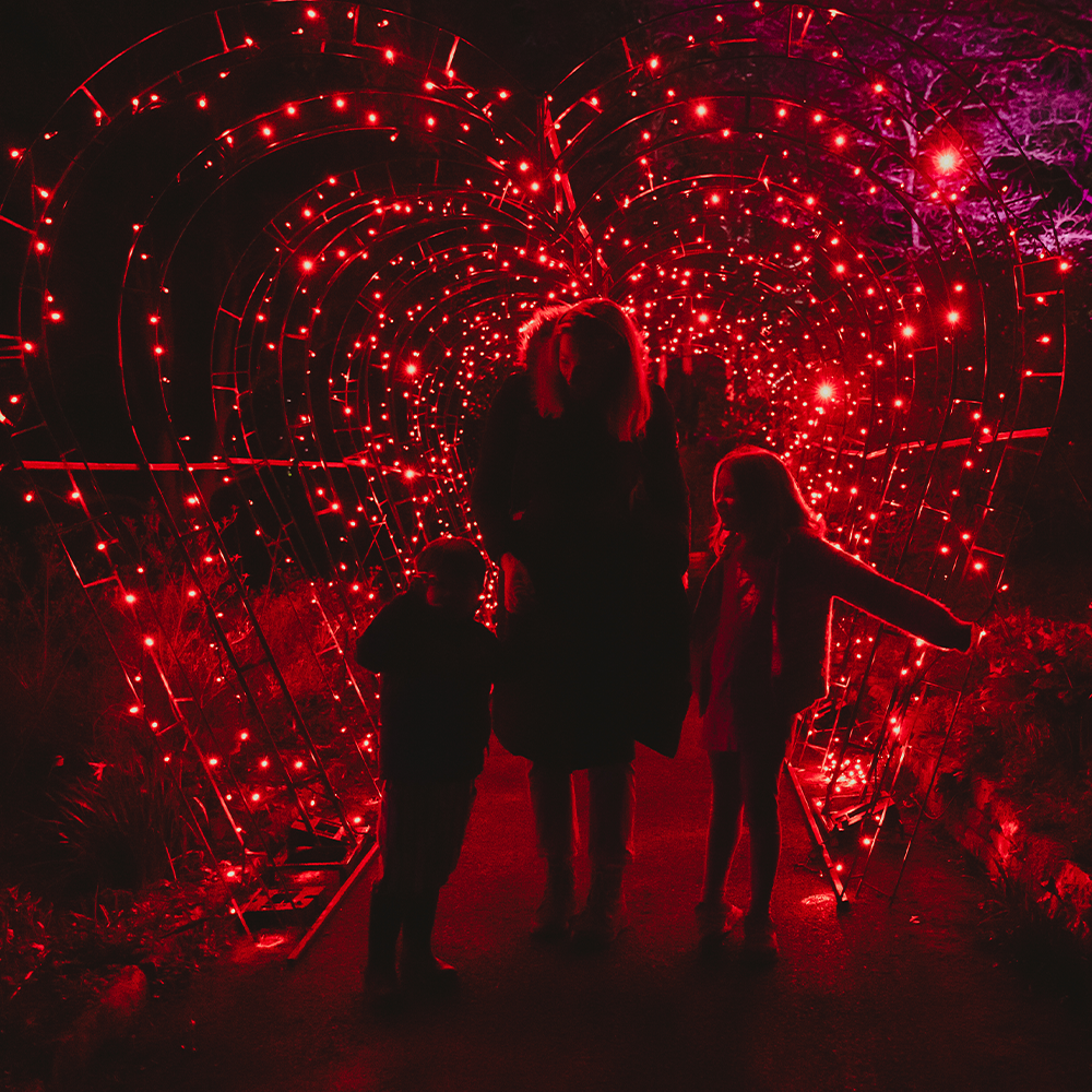 Family stood in front of heart light tunnel  at Wonderglow