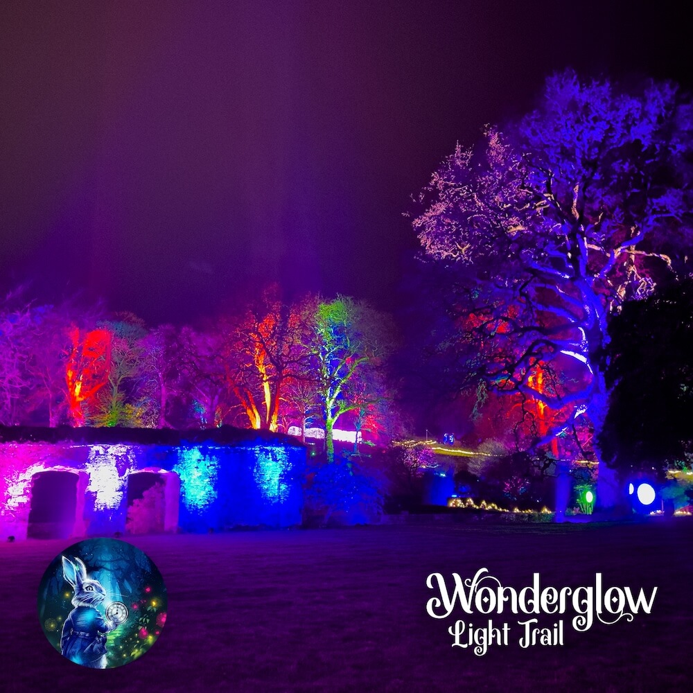 Image of the grounds of Dartington Hall lit up in different colours