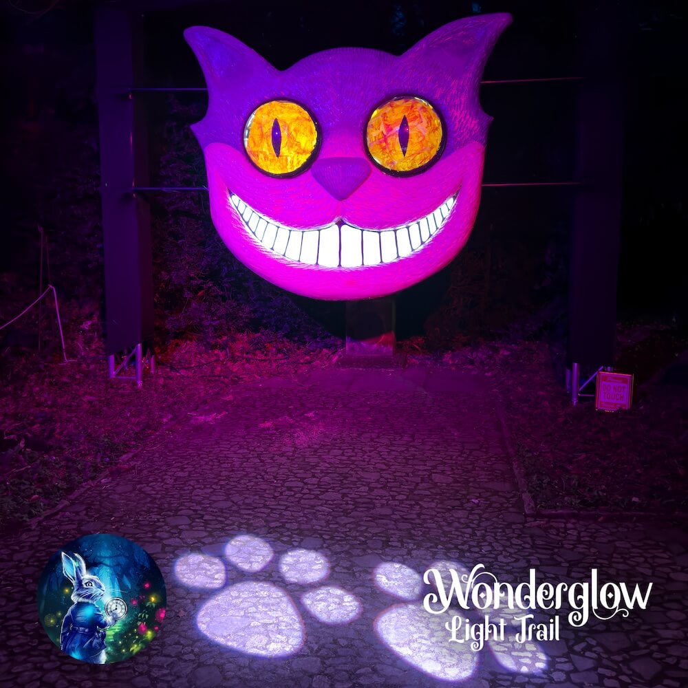 Cheshire cat light installation
