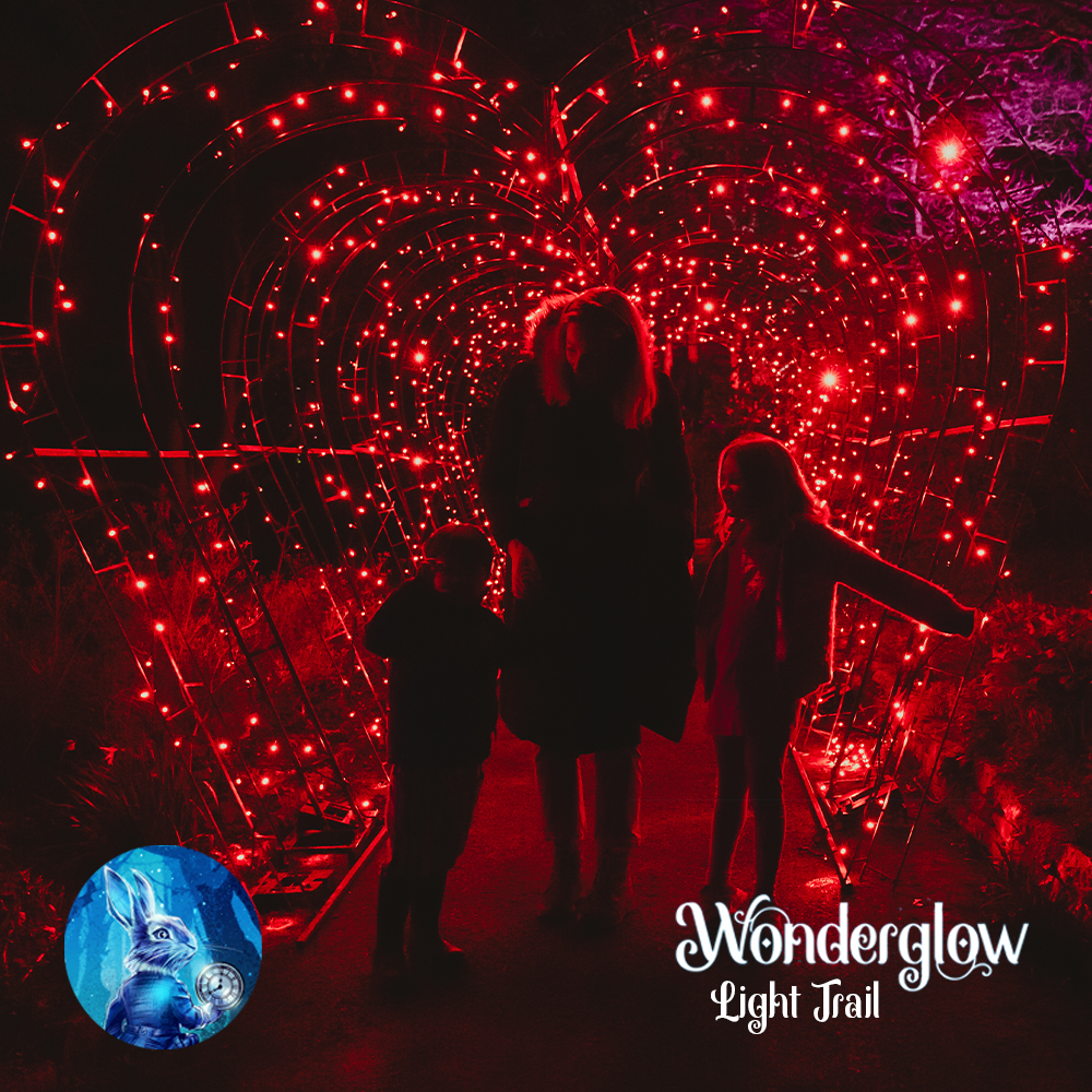 people stood in front of a heart tunnel at Wonderglow light trail