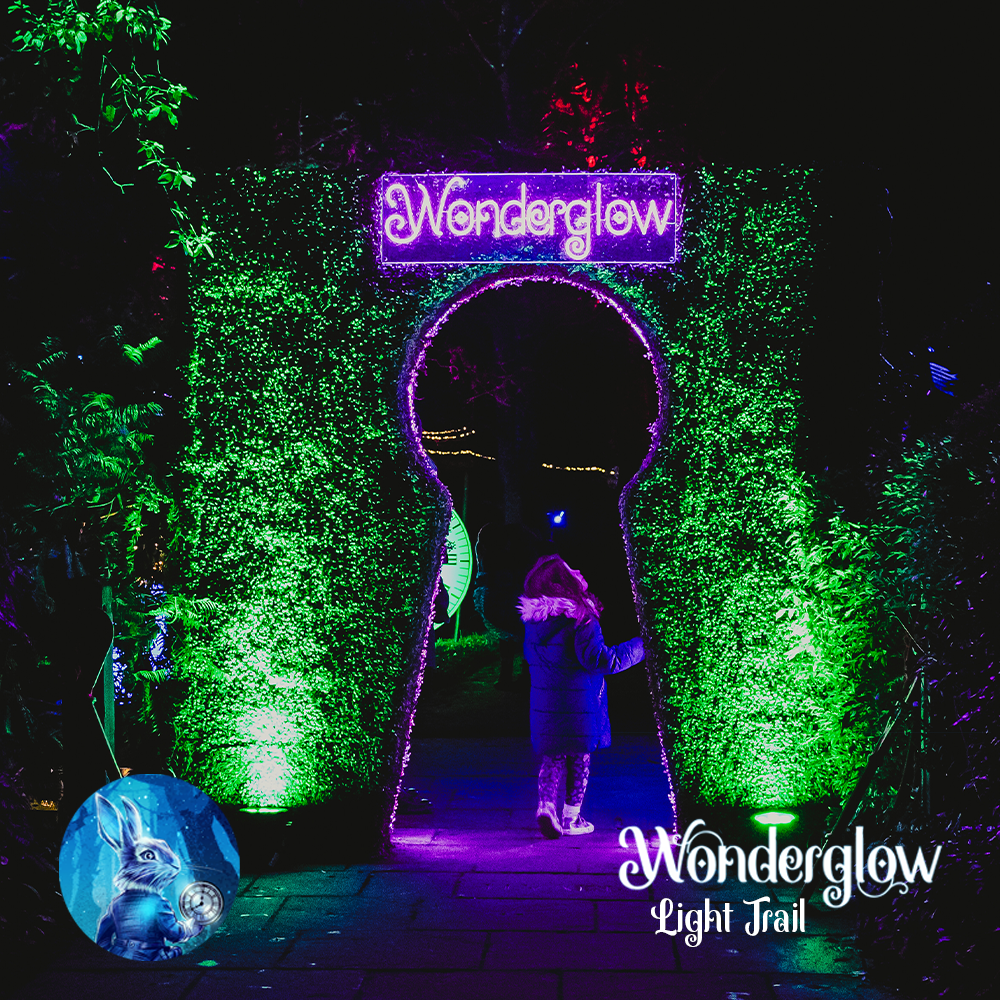 image of a tall green hedge with a large keyhole cut into it outlined with pink light and neon purple wonderglow sign 